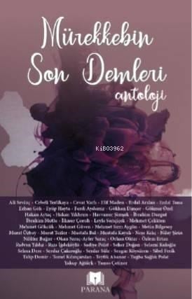 Mürekkebin Son Demleri-Antoloji