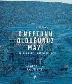 O Meftunu Olduğunuz Mavi; Devrim Erbil'in İstanbul'u