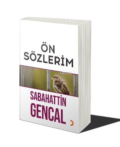 Ön Sözlerim
