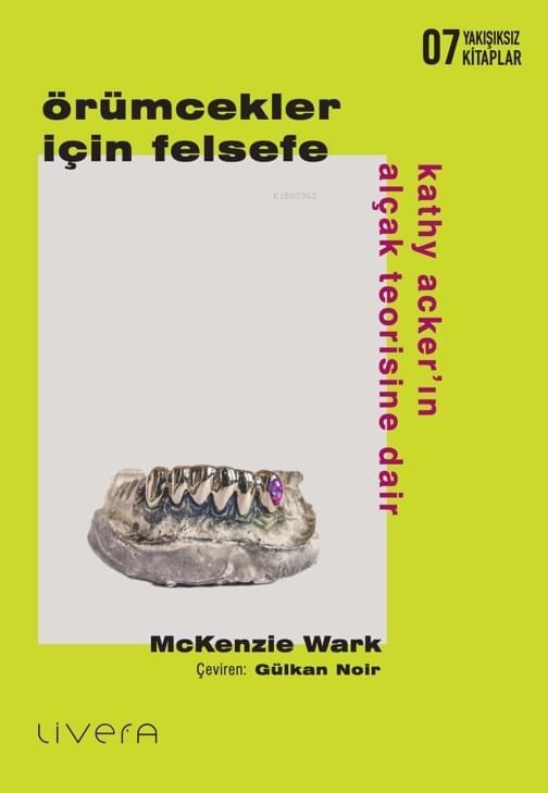 Örümcekler İçin Felsefe;Kathy Acker’ın Alçak Teorisine Dair