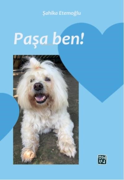 Paşa Ben!