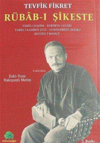 Rübab-ı şikeste