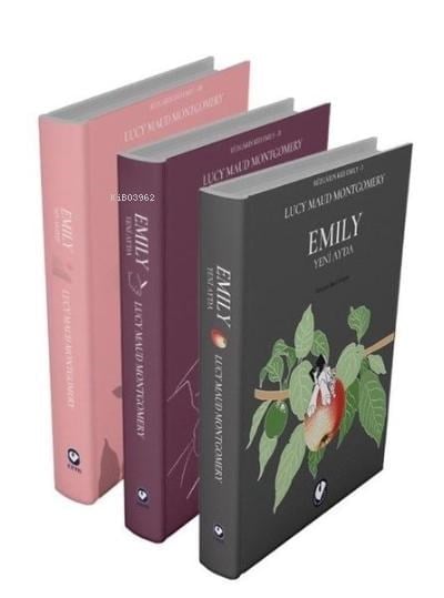 Rüzgarın Kızı Emily Serisi (3 Kitap Takım)