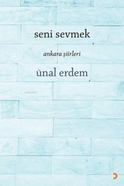 Seni Sevmek Ankara Şiirleri