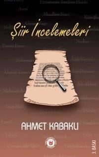 Şiir İncelemeleri