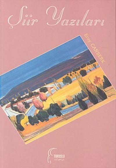 Şiir Yazıları