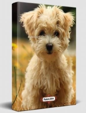 Süresiz Planlama Defteri - Neşeli Yüz