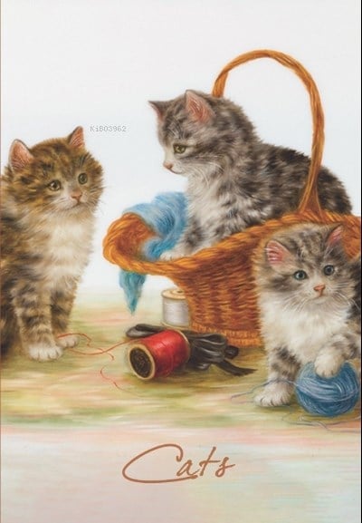 Tekir Çizgili Defter