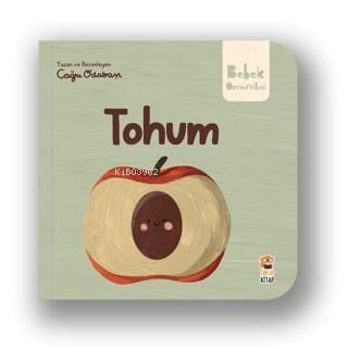 Tohum