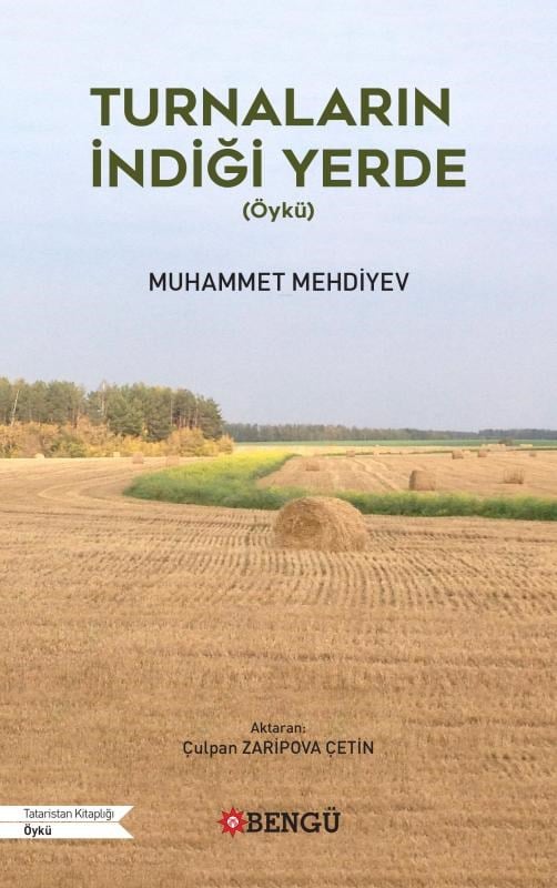 Turnaların İndiği Yerde