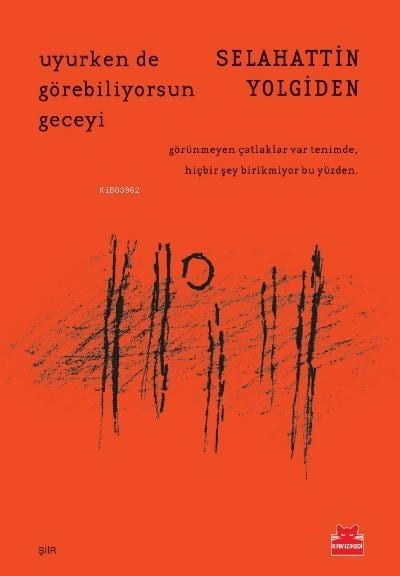 Uyurken de Görebiliyorsun Geceyi