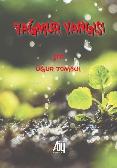 Yağmur Yagısı