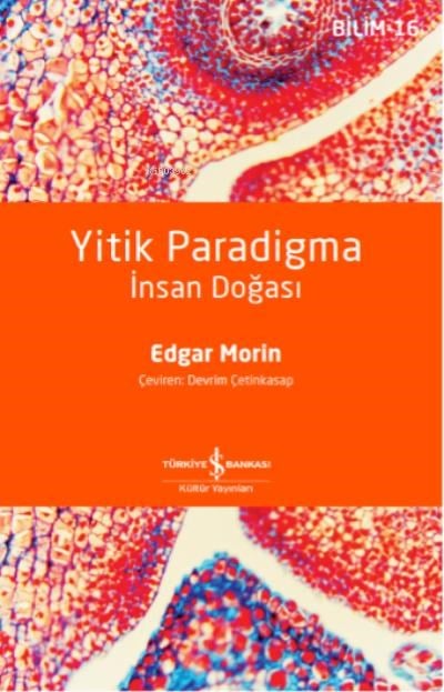 Yitik Paradigma – İnsan Doğasi