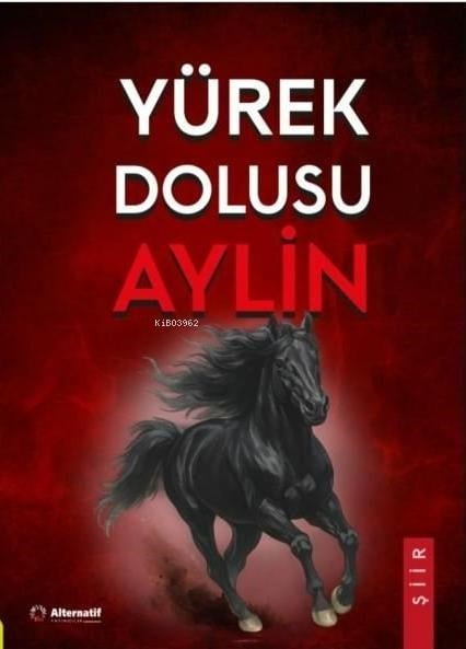 Yürek Dolusu Aylin