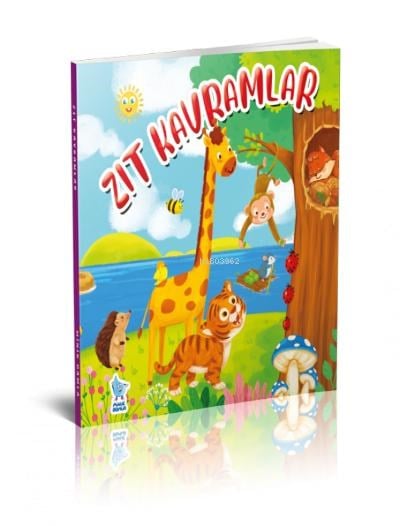 Zıt Kavramlar