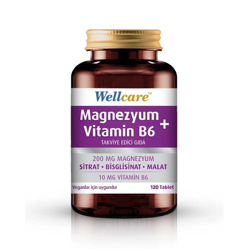 Wellcare Magnezyum Vitamin B6 Takviye Edici Gıda 120 Tablet