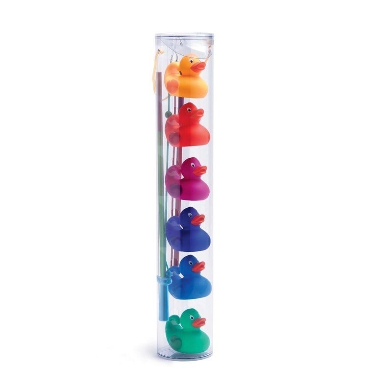 Rainbow Fishing Ducks