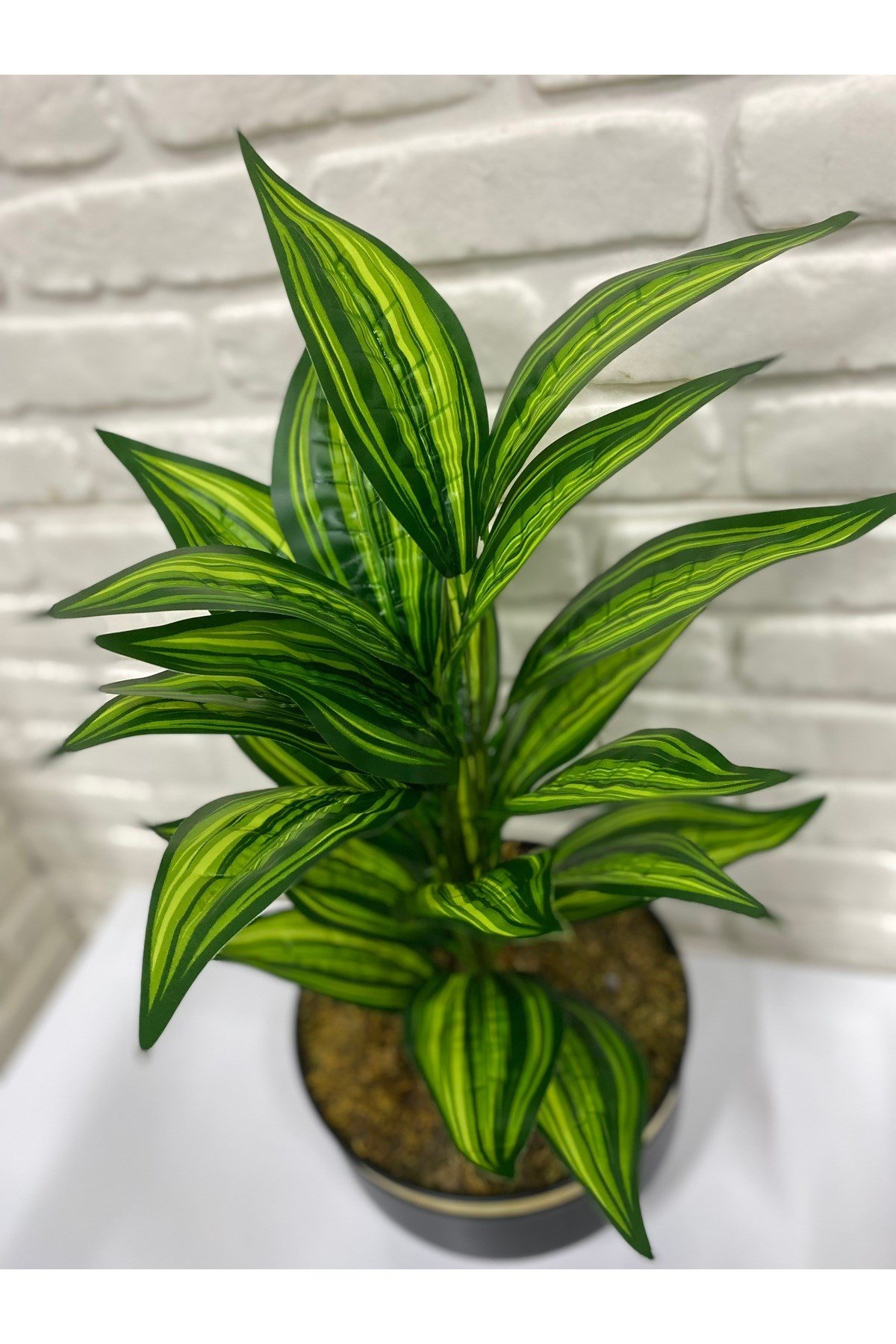 Yapay Aglaonema Bitkisi – Dekoratif Yapay Yeşil Bitki 70 cm
