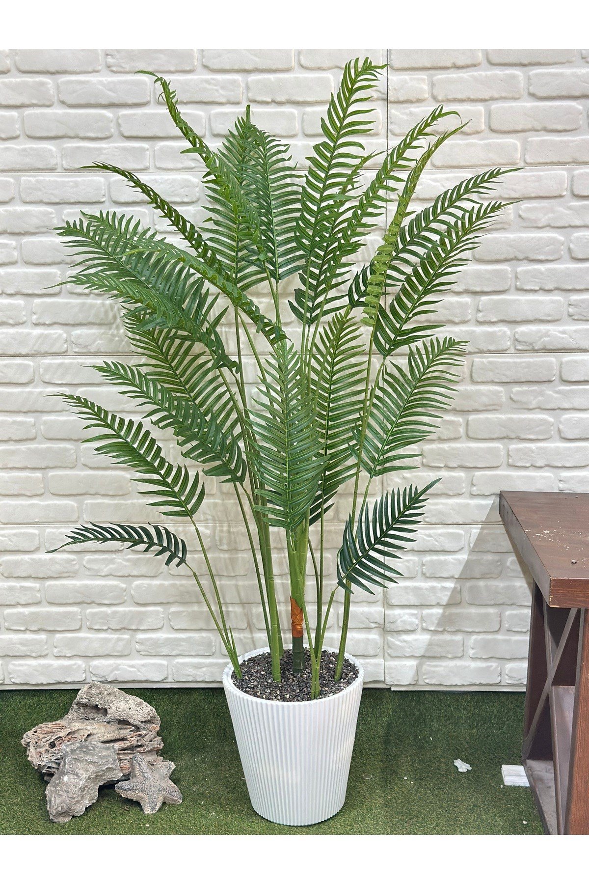 Yapay Areka Palm 190cm Beyaz Saksılı