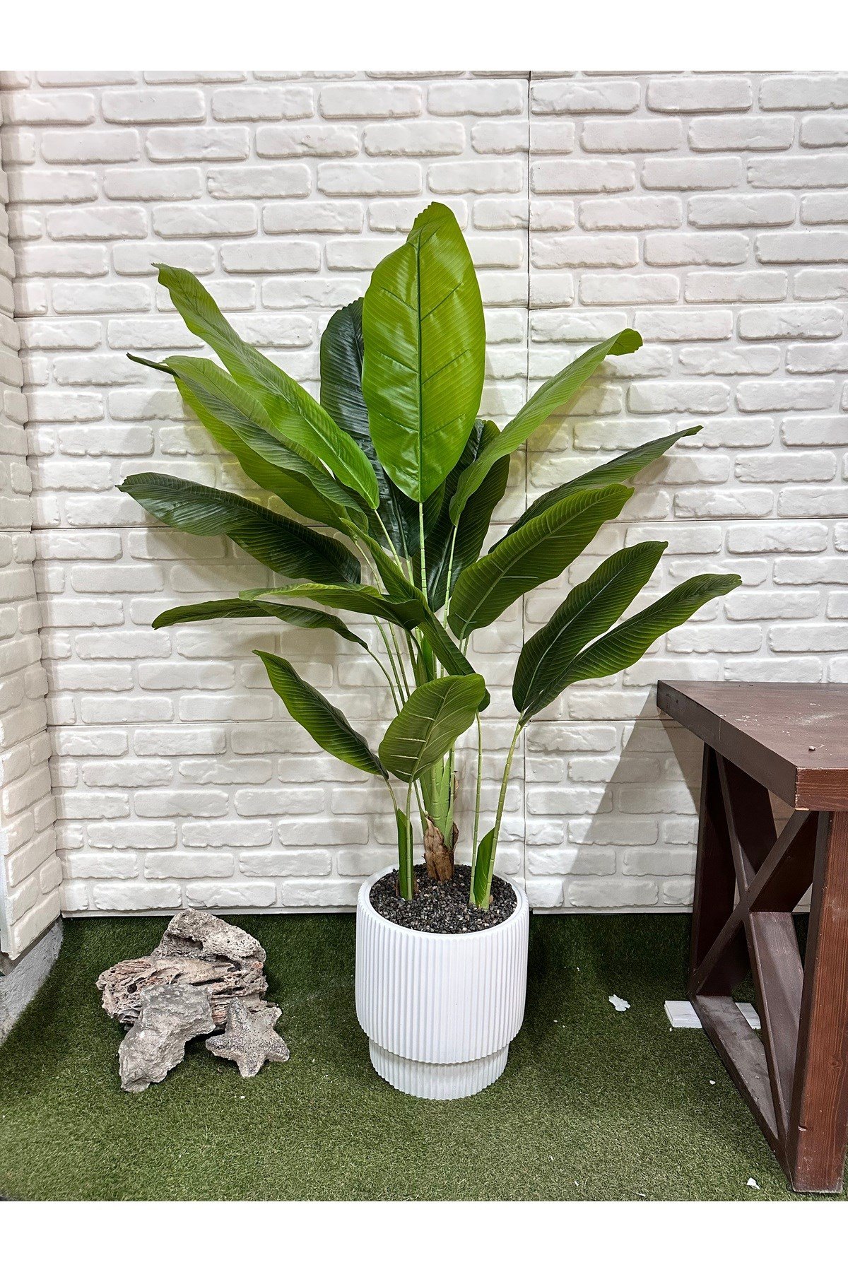 Yapay Muz Ağacı 180cm Beyaz Saksılı