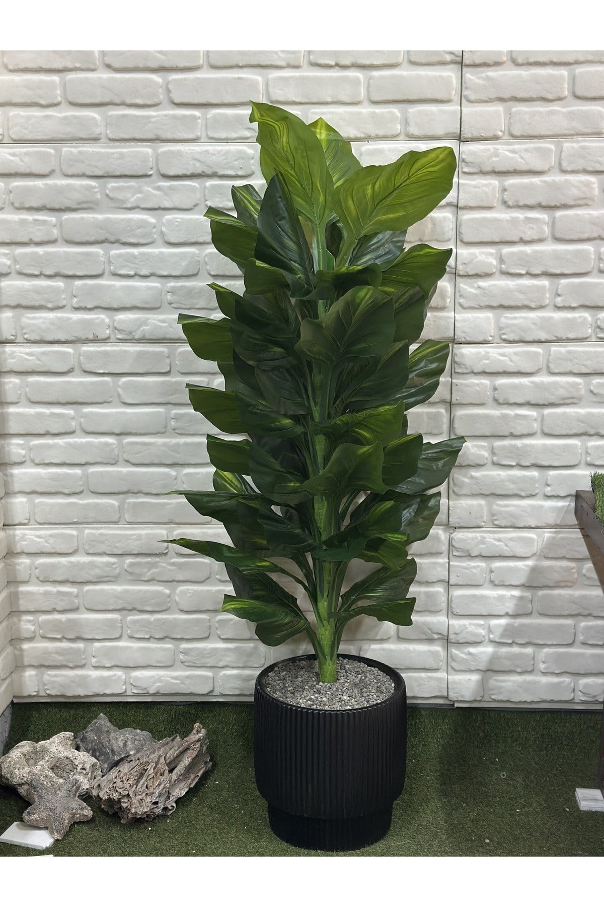 Yapay Singonyum Ağacı 180cm (saksı ile)