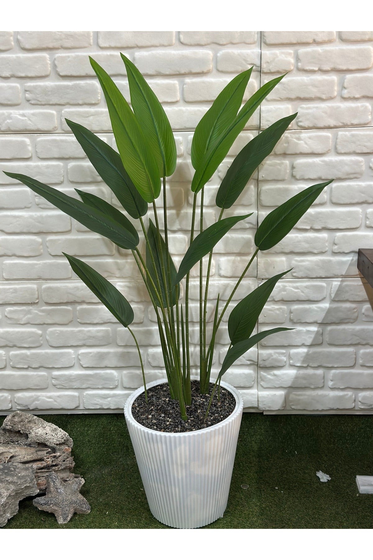Yapay Starliçe Bitkisi 145cm Saksılı Ürün