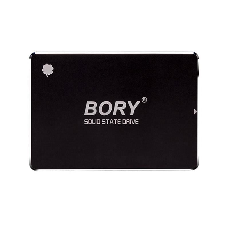 1 Tb Bory Sata3 R500-c1t Ssd 550/510 Mbs (3 Yil Garantili)