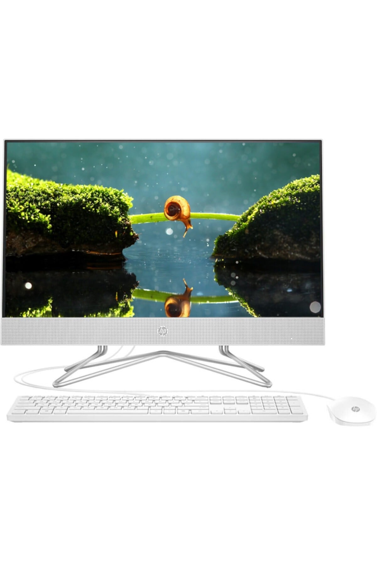 200 G4 295d5ea02 I3-10110u 8gb 1tbssd 21.5