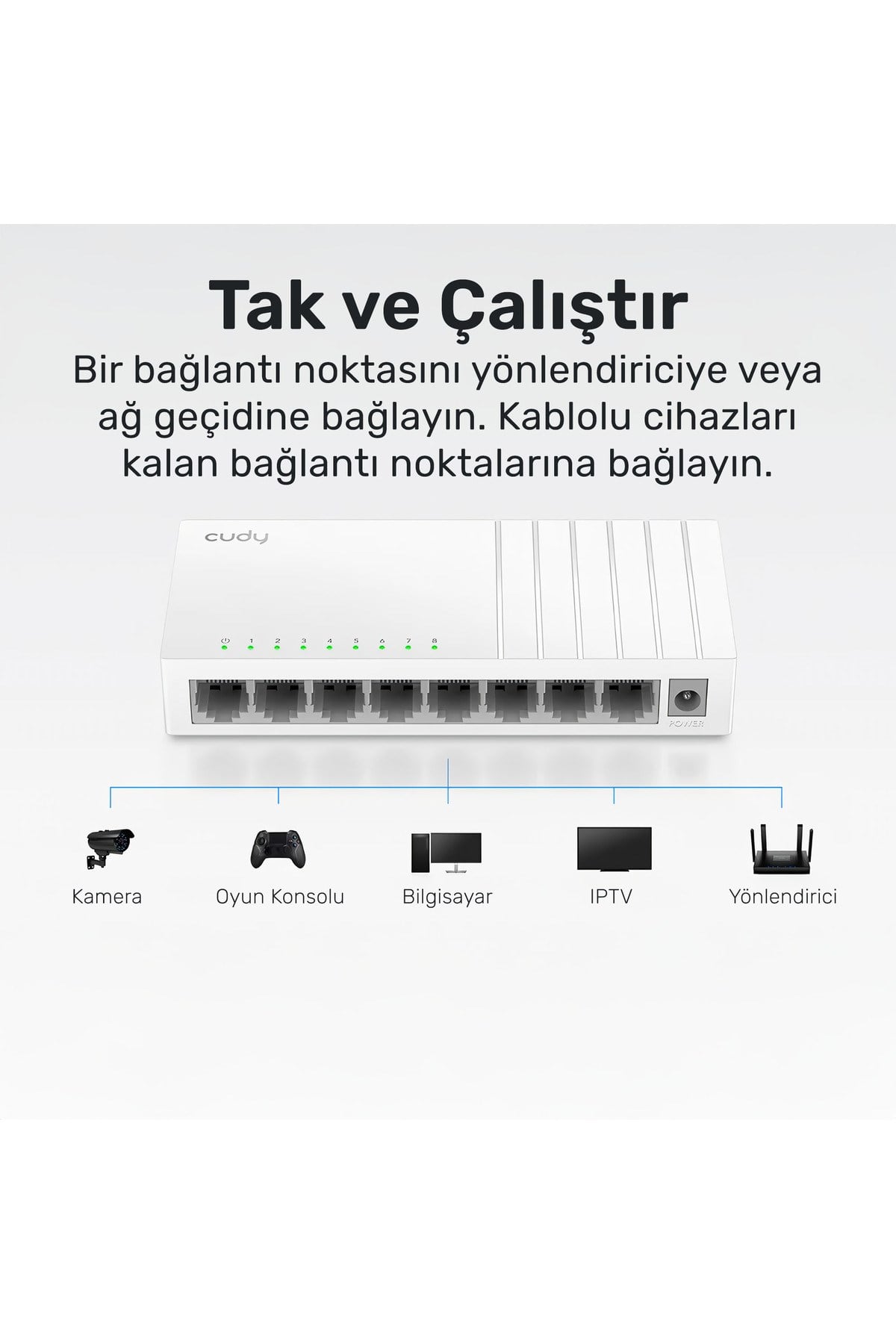 5port Fs105d 10/100 Yönetilemez Switch
