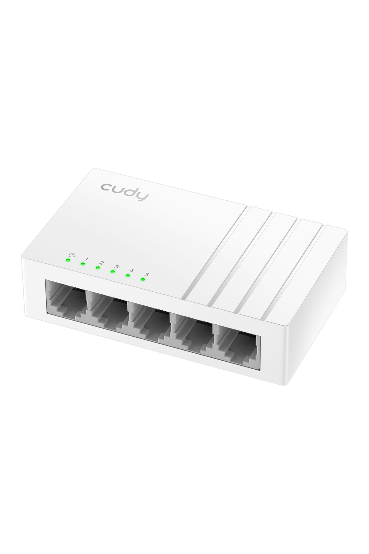 5port Fs105d 10/100 Yönetilemez Switch