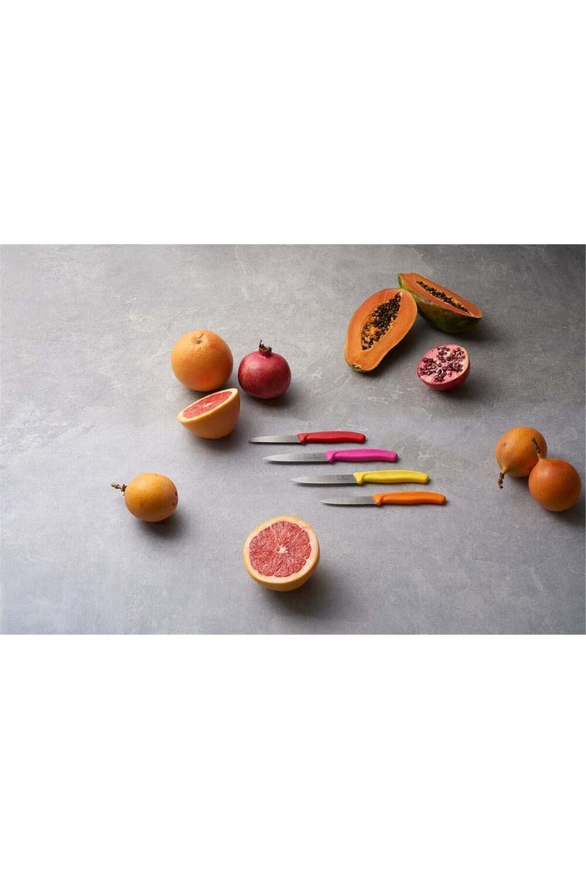 6.7736.l8 10 Cm Tırtıklı Soyma Bıçağı