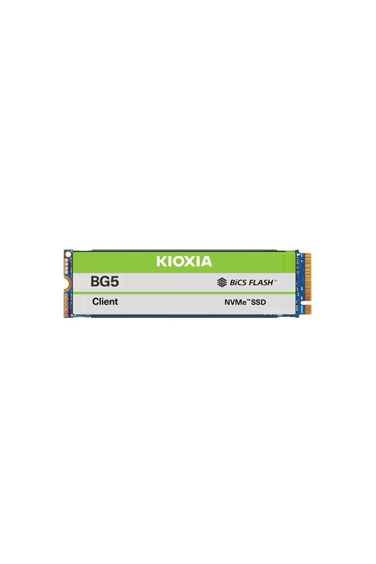 BG5 512GB M.2 2280 NVMe SSD