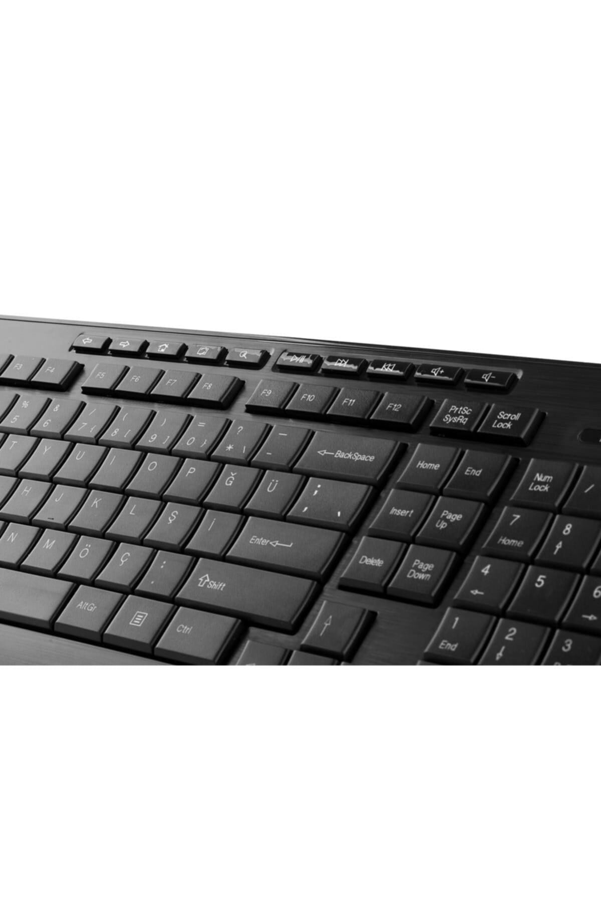 Dlk-3100u Siyah Usb Q Multimedia Klavye