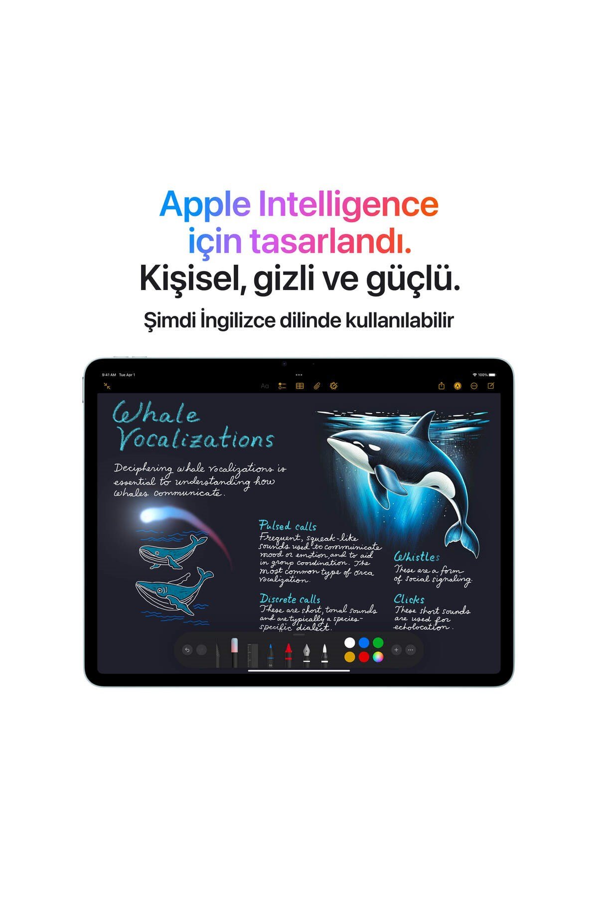 iPad Air 11 inç Wi-Fi + Cellular 512GB MCG64TU/A - Yıldız Işığı