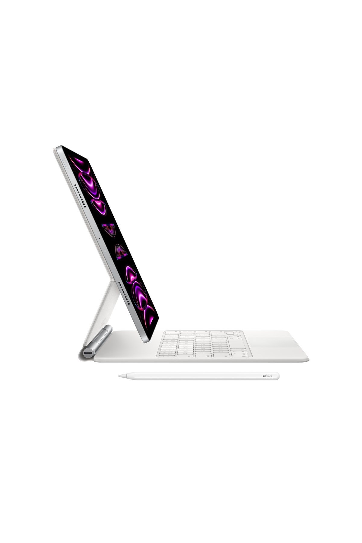 iPad Pro 512 GB 11