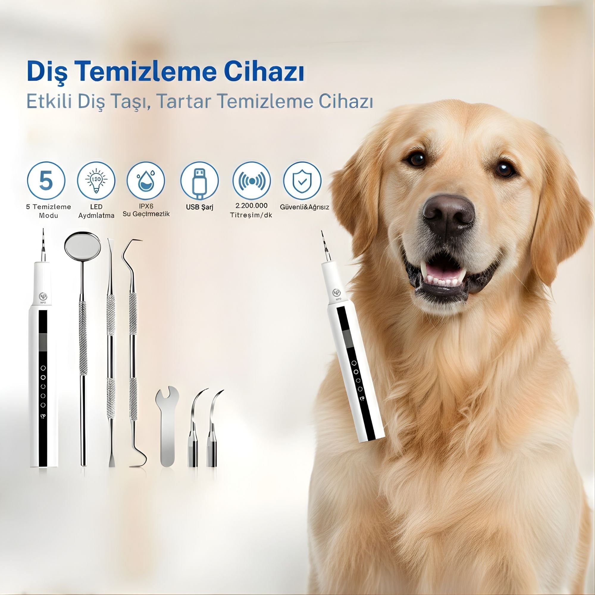 NPO T7 5 Modlu Ultrasonic Tartar Plak PET Diş Temizleme Cihazı