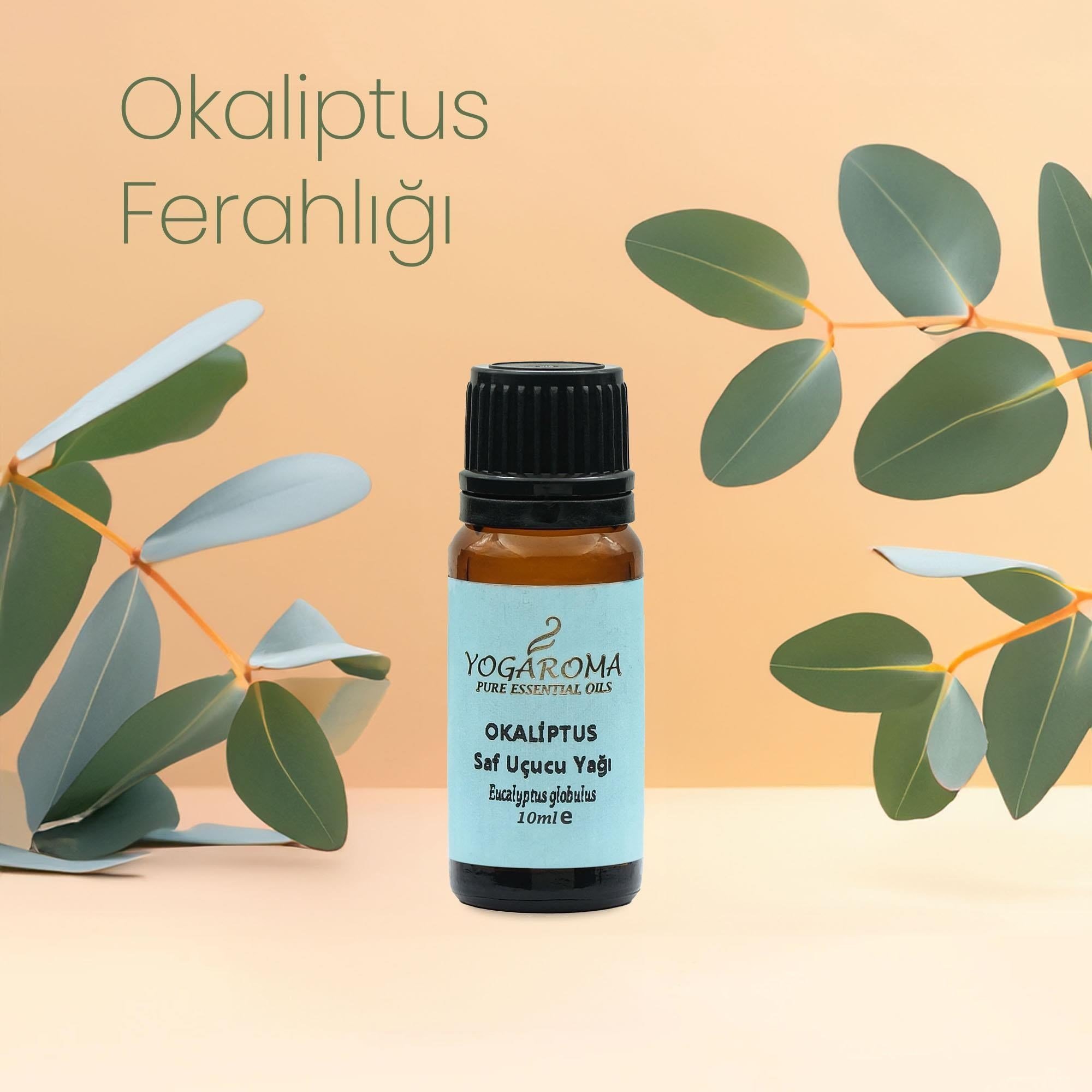 NPO Yogaroma Derin Nefes Ferahlatıcı Aromaterapi Saf ve Doğal Okaliptus Uçucu Yağ