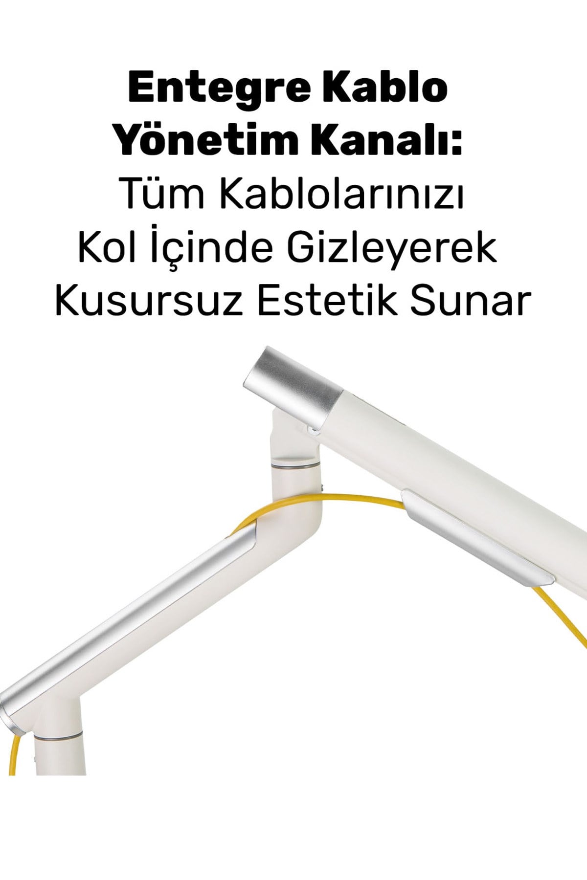 STD49012UW Elysium 17