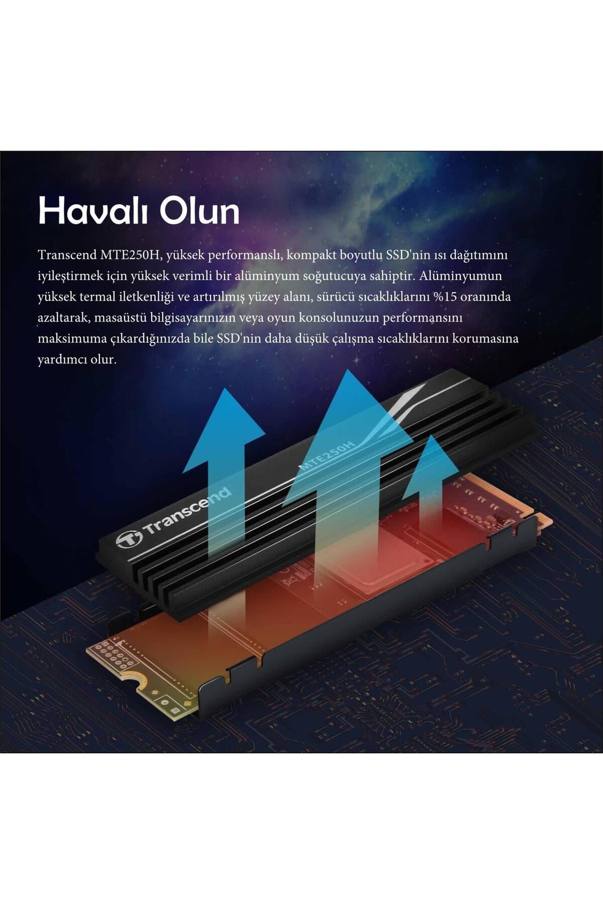 TS2TMTE250H 2TB M.2 2280 Gen4x4 NVMe Metal Soğutuculu SSD