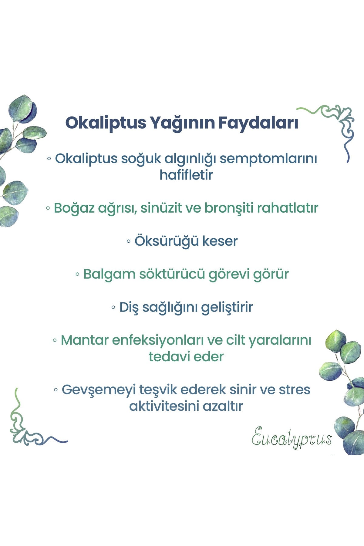 Yogaroma Ferahlatıcı Aromaterapi 10mL Saf ve Doğal Okaliptus Uçucu Yağ