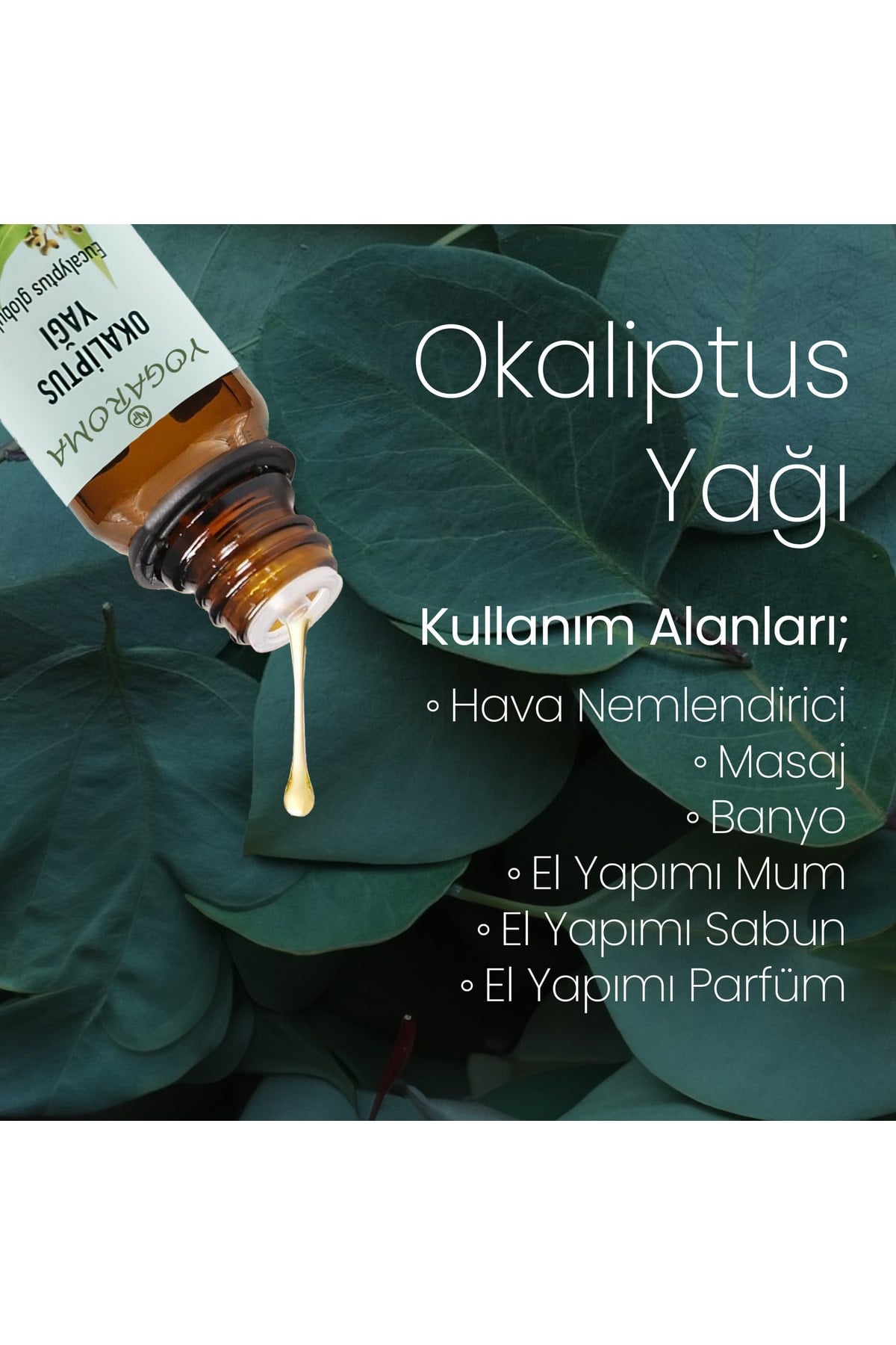 Yogaroma Ferahlatıcı Aromaterapi 10mL Saf ve Doğal Okaliptus Uçucu Yağ