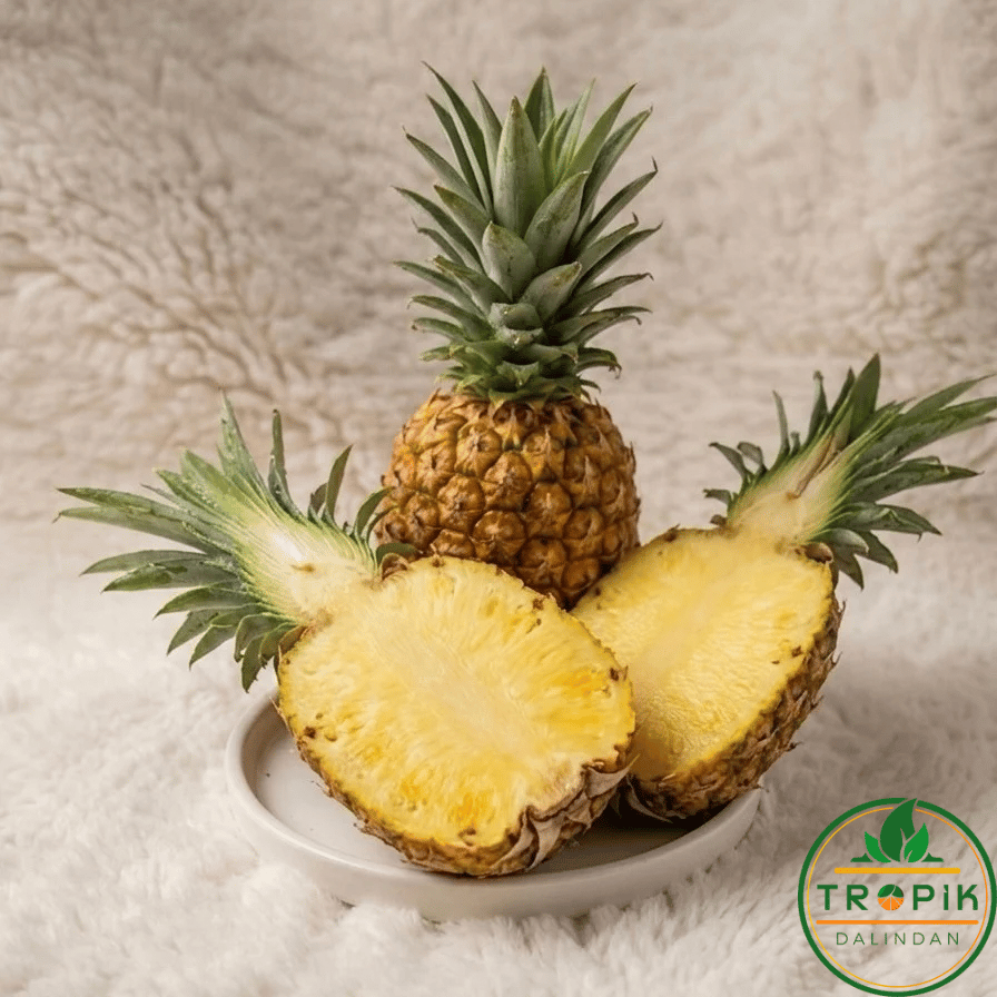 ANANAS / ADET