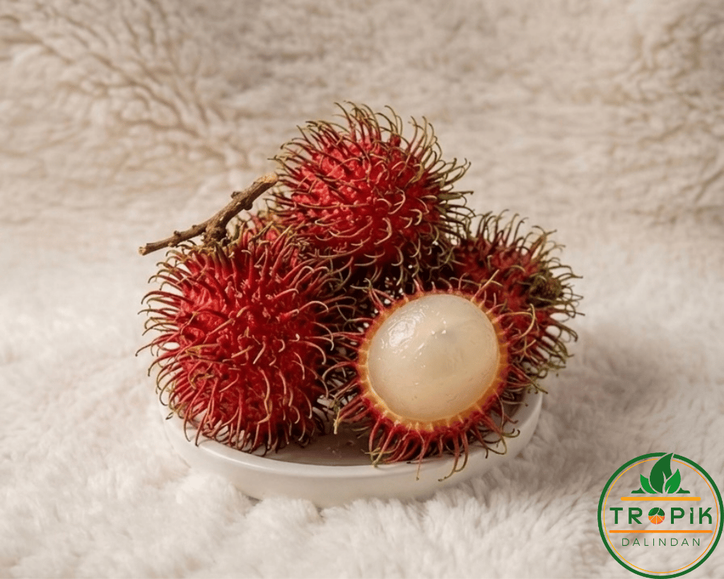 RAMBUTAN / ADET