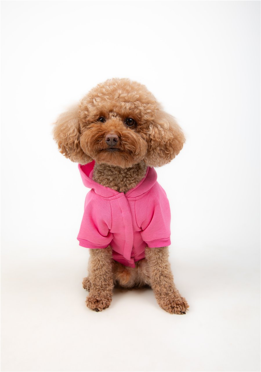 Hi Pink Kapüşonlu Sweatshirt Pembe