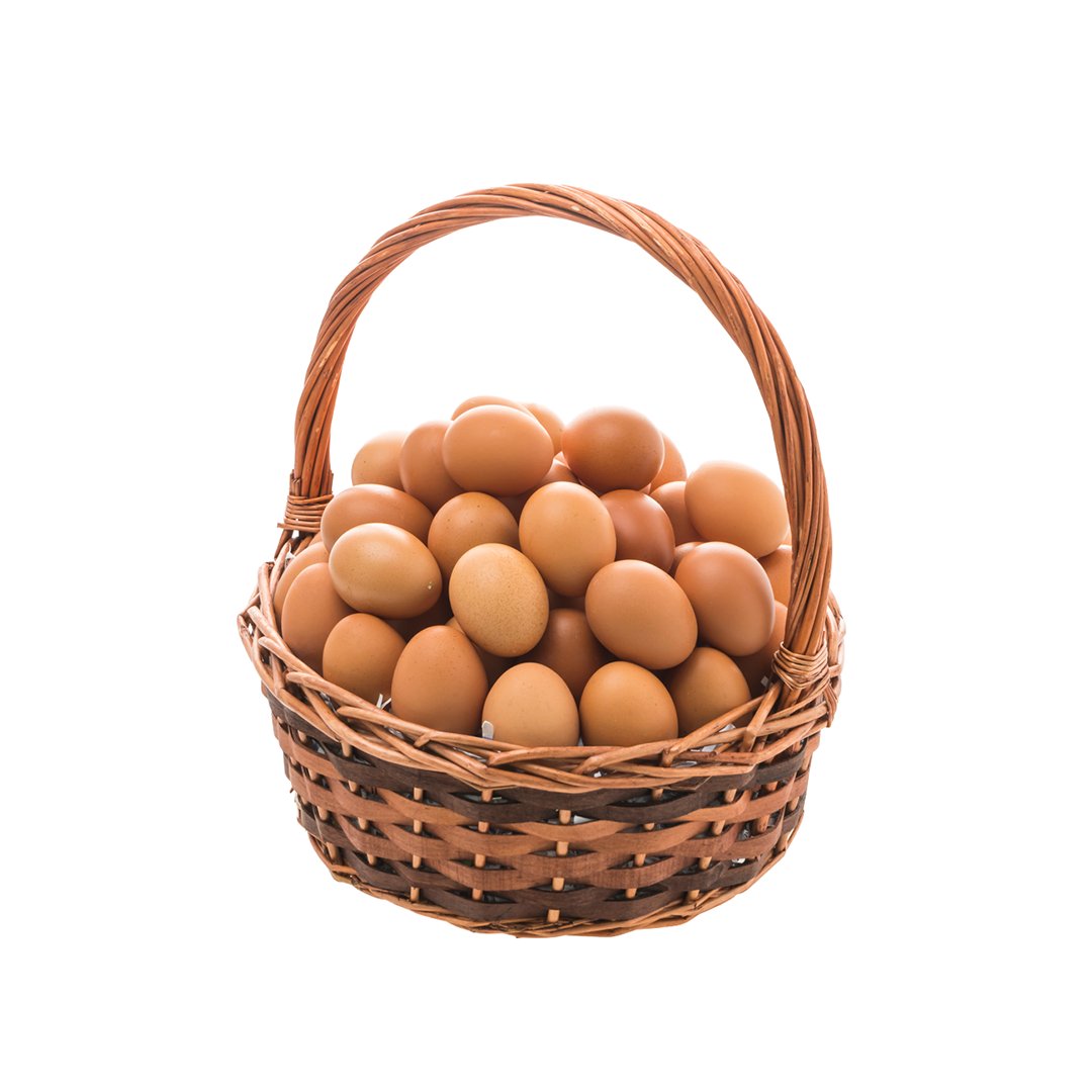 YUMURTA M BOY 30 LU - EDTİstanbul - EDT0482 - EDT İstanbul