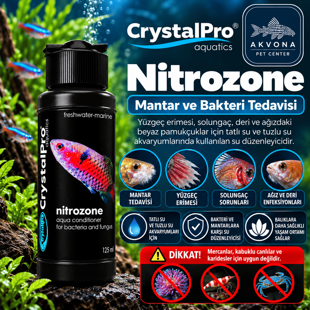 Crystalpro Nitrozone Mantar ve bakteri