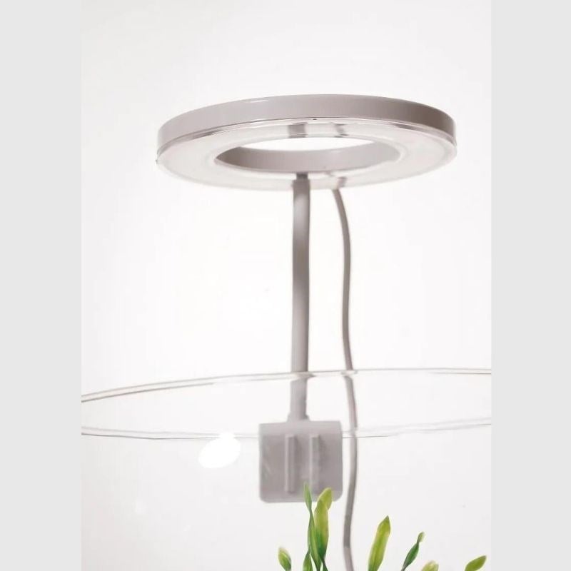 OrionLed Goosneck Fanus & Nano Akvaryum Led Aydınlatma Oval SİYAH