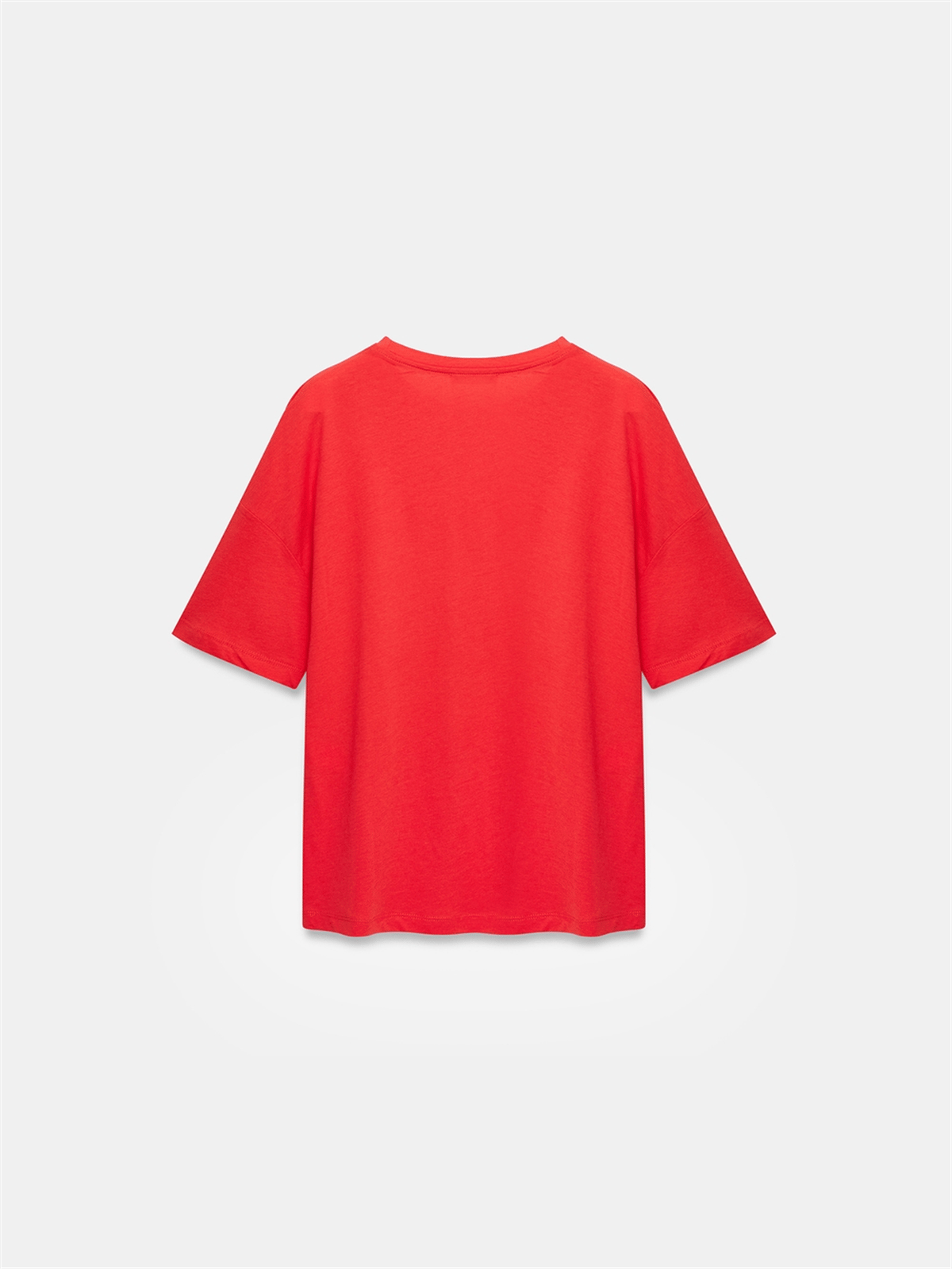DİLVİN Basic T-Shirt