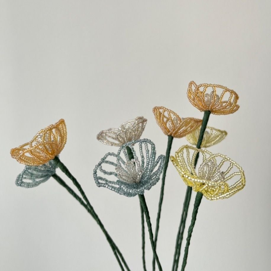 Bloom