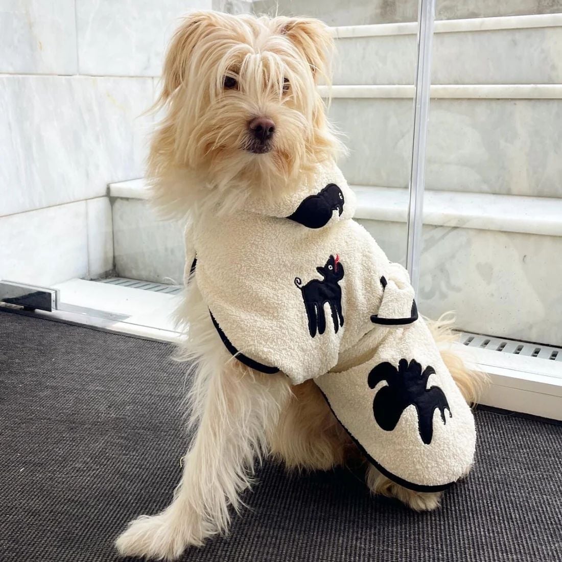 Umbra Siyah Köpek Bornozu